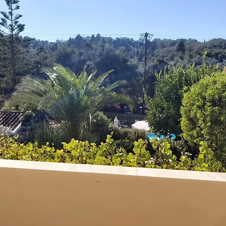 Andrikos Apartament