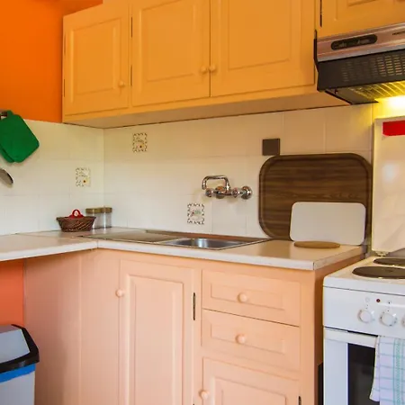 Apartament Andrikos *